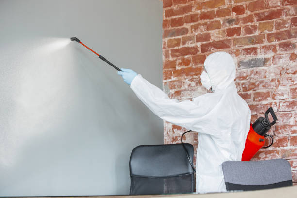 Best Crawl Space Mold Remediation  in Alcoa, TN