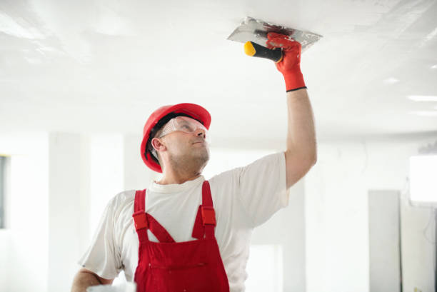 Best Emergency Mold Remediation  in Alcoa, TN