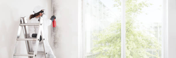 Best Mold Prevention Services  in Alcoa, TN