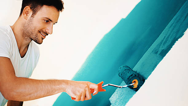 Best Mold Damage Restoration  in Alcoa, TN