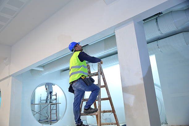 Best Basement Mold Removal  in Alcoa, TN